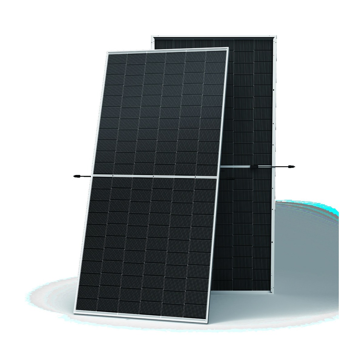 TRINA SOLAR TSM-NEG19RC.20 - Imagen 2