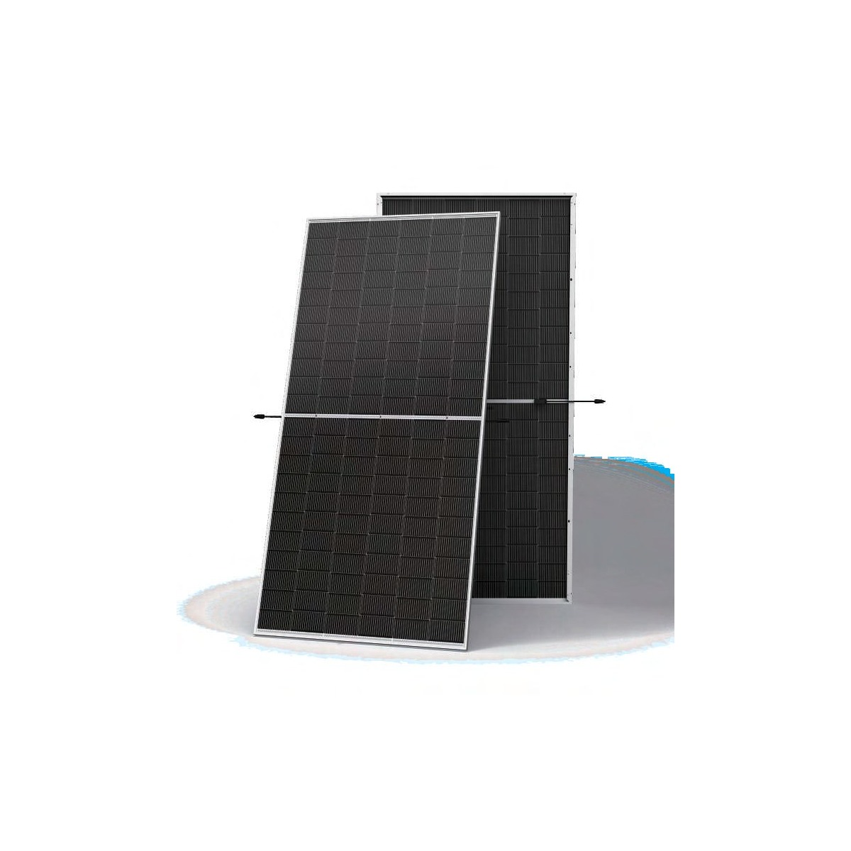 TRINA SOLAR TSM-NEG19RC.20